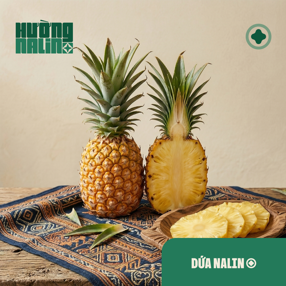 Dứa Nalin
