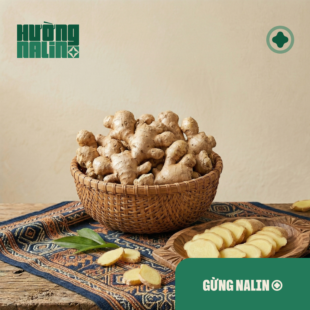 Gừng Nalin