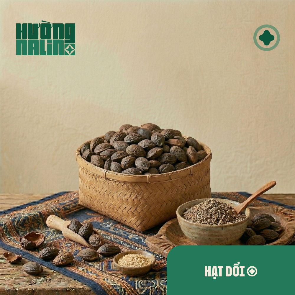 Hạt Dổi